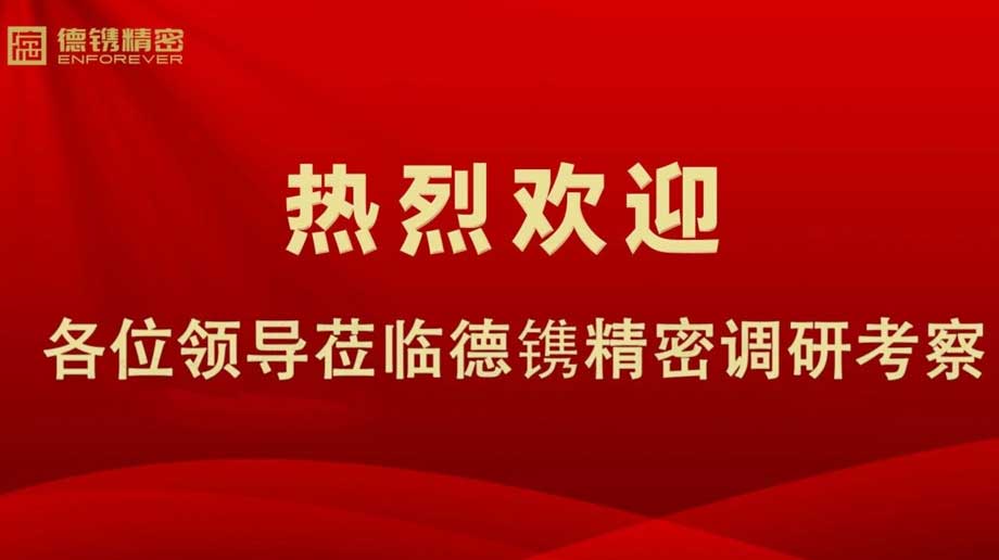 山西省永濟市市委書記何偉率隊到德鐫調(diào)研考察